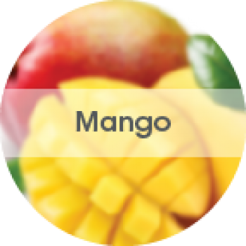 FRS OFB48MGBX ourfresh Air Freshener Mango 8 Refills with battery Per Box