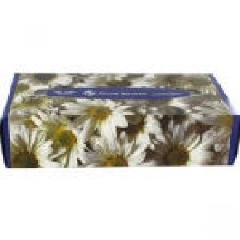 GJO 26100 / WHD TISSUE30100 Facial Tissue 2 Ply 30 Boxes 8 IN x 7.5IN /100 Sheets Per Case