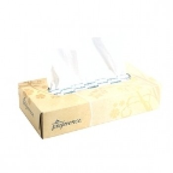 GPC 48100CT Facial Tissue 30 Boxes / 100 Sheets Per Case